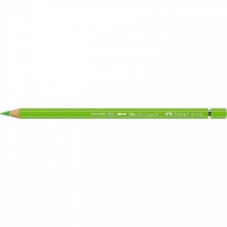 Albrecht Dürer watercolour pencil light green